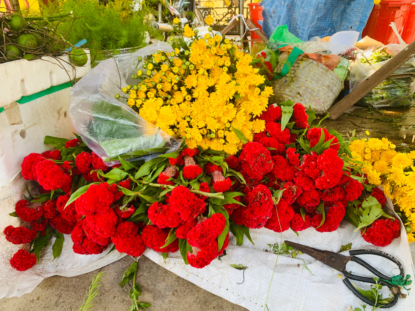 VIETNAM FOODIE FEAST 9th-19th SEPT 2025
