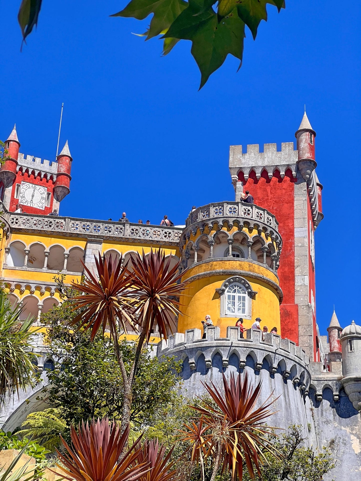 Portugal Foodie Feast MARCH 2025