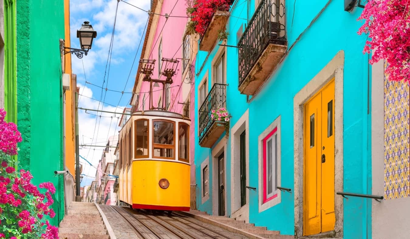 Portugal Foodie Feast MARCH 2025
