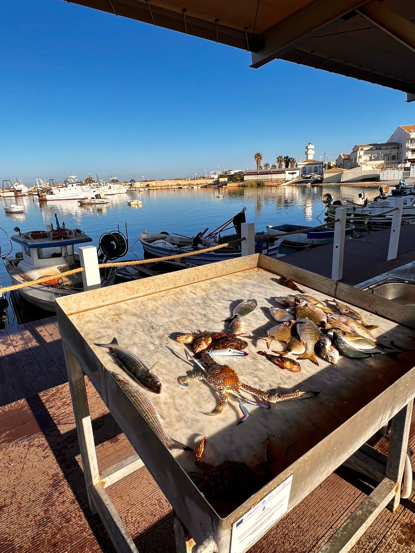 SICILY FOODIE FEAST JUNE 10-16 2025