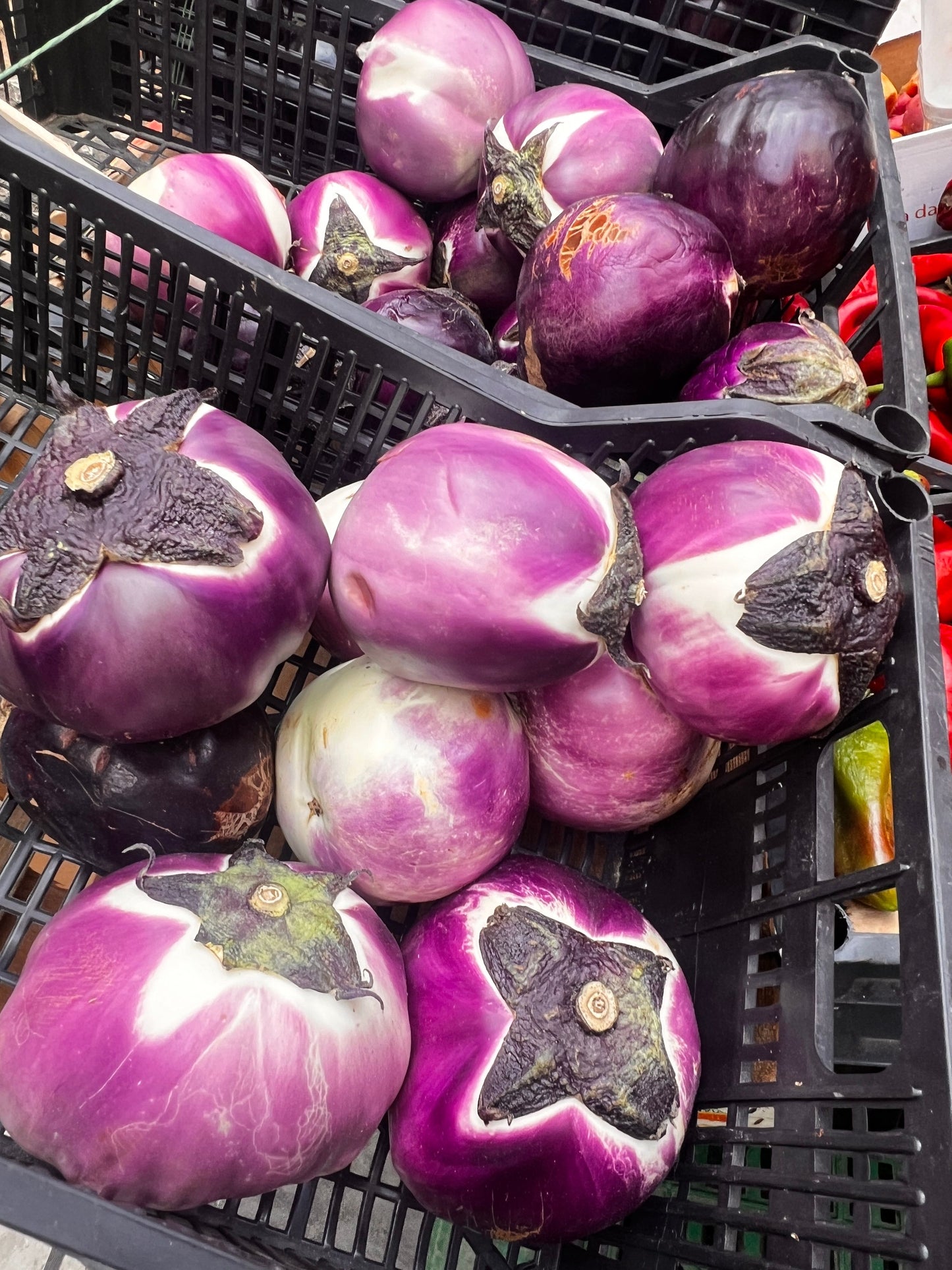 SICILY FOODIE FEAST JUNE 10-16 2025