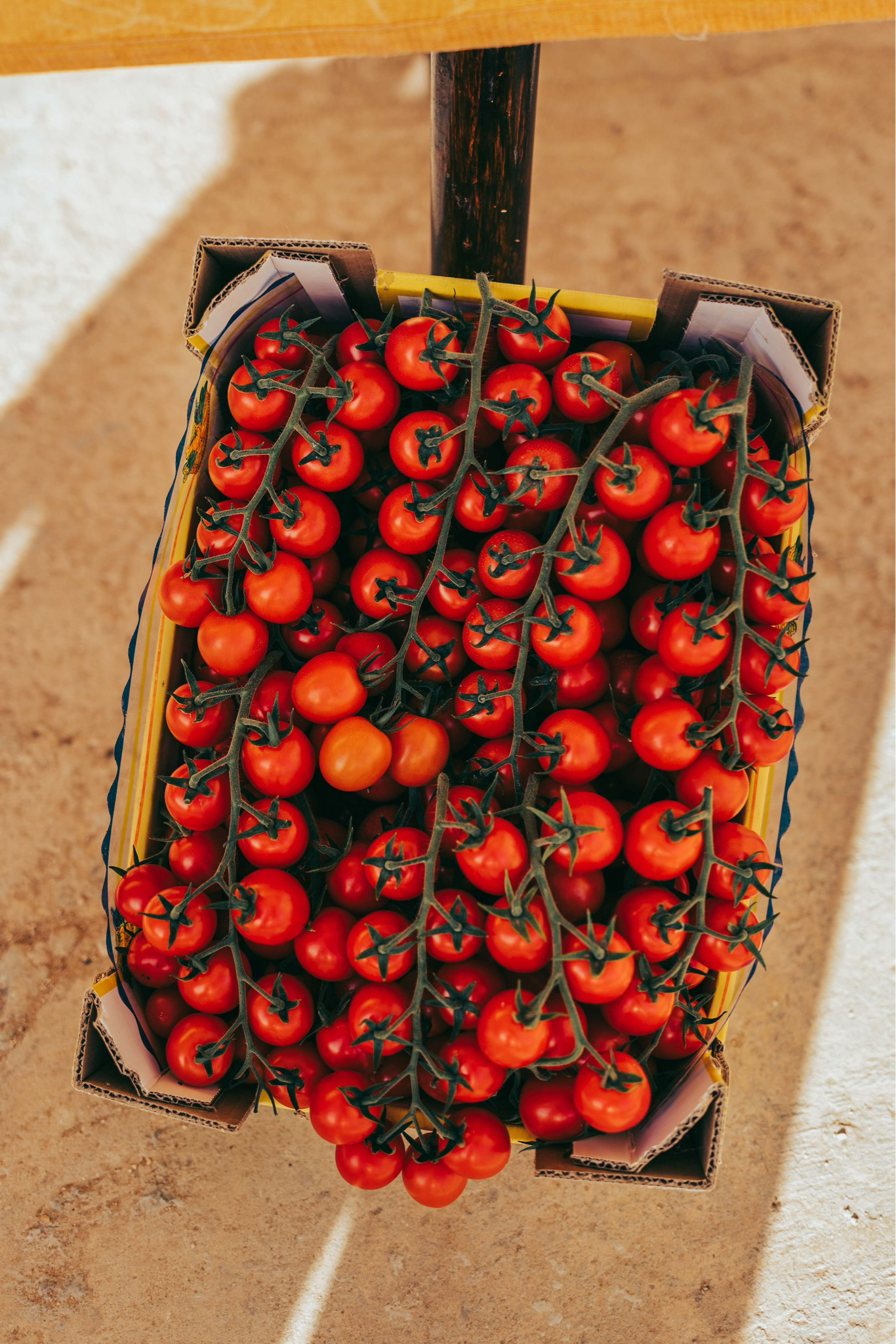 SICILY FOODIE FEAST JUNE 10-16 2025