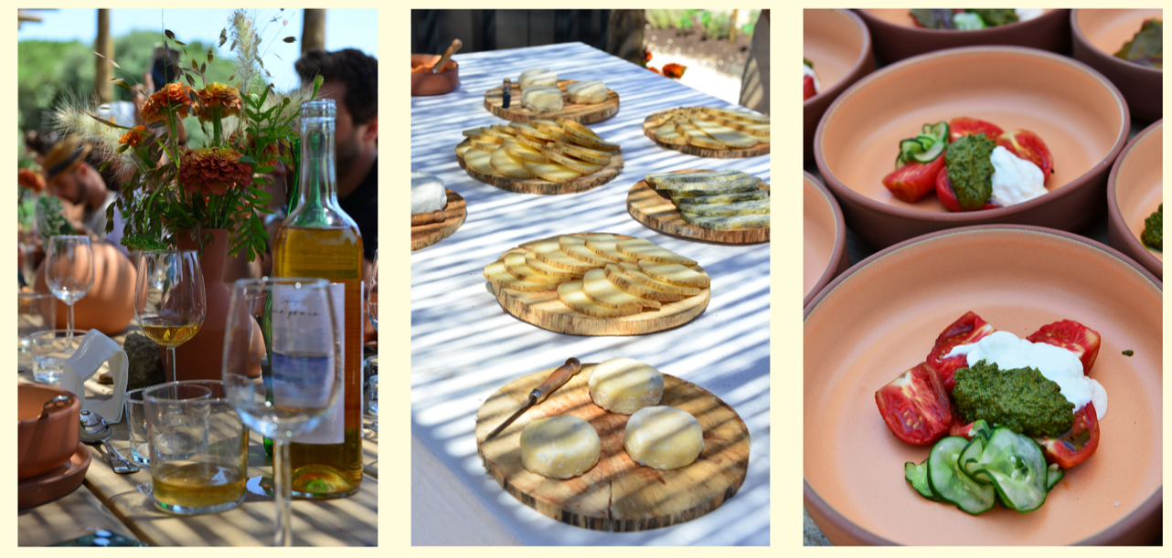 Portugal Foodie Feast MARCH 2025