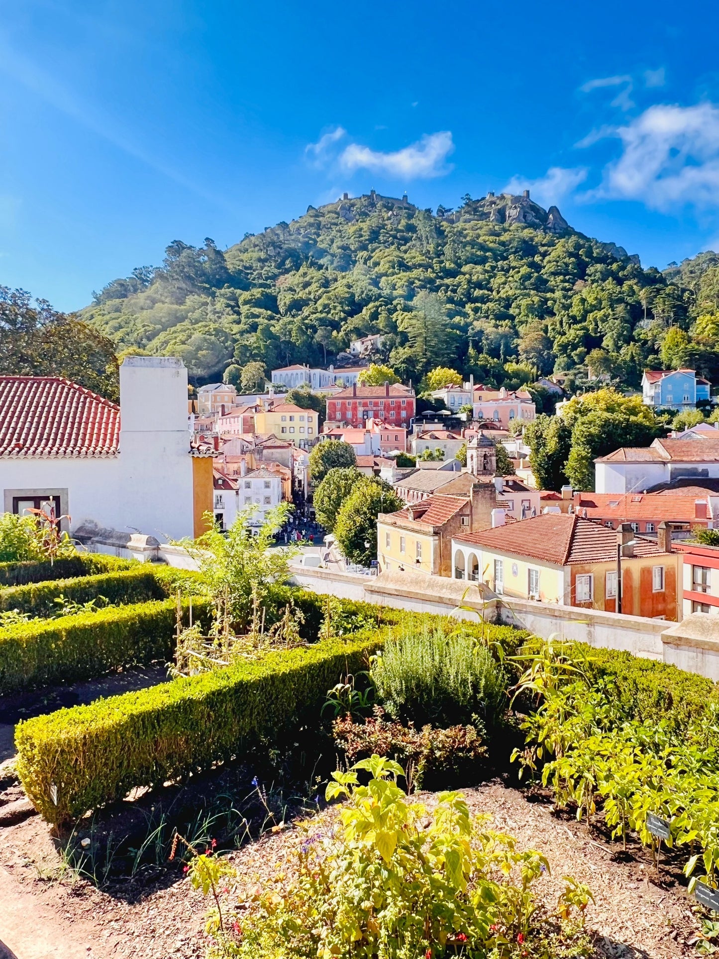 Portugal Foodie Feast MARCH 2025