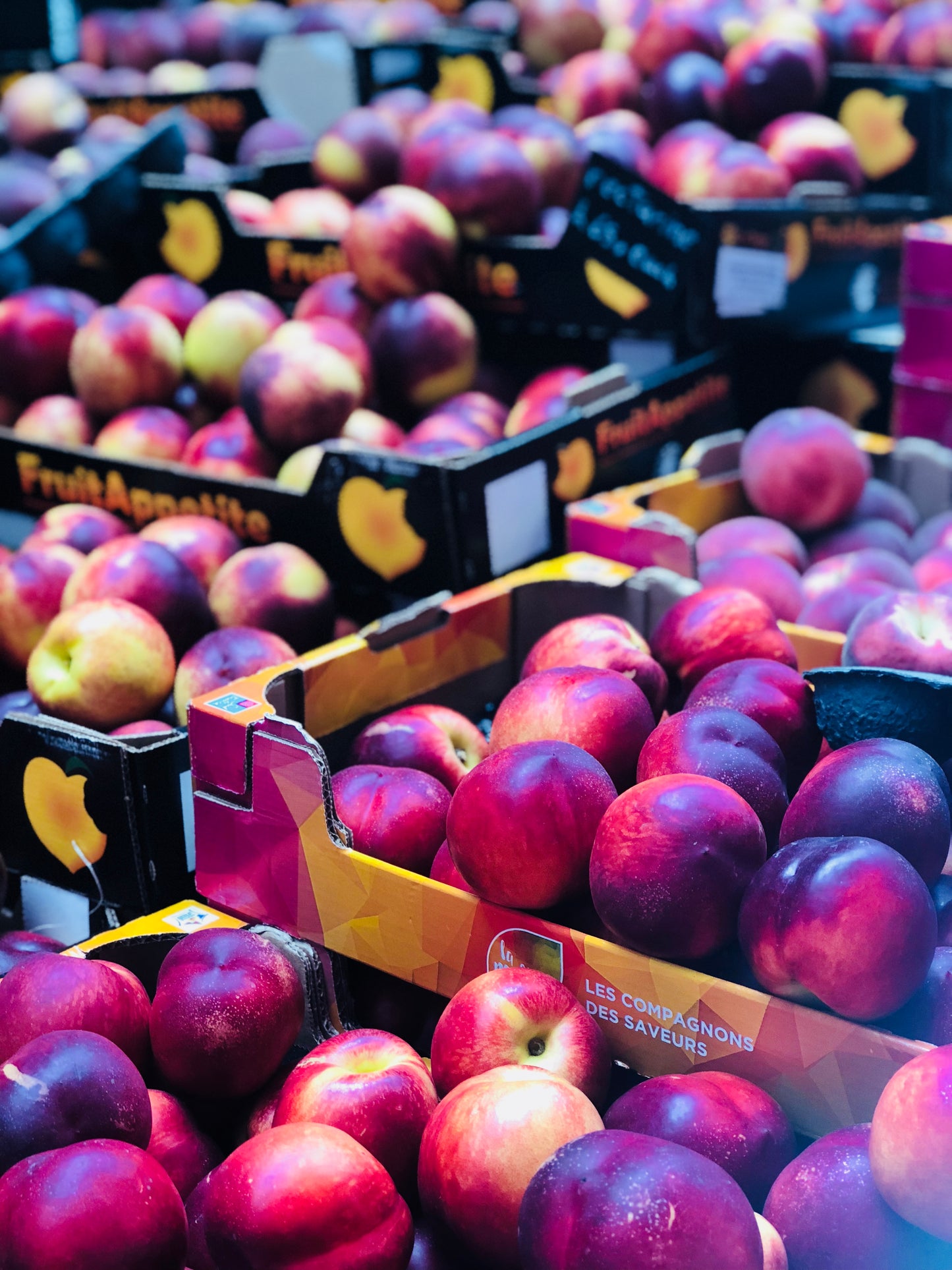 Paris and Brittany FRANCE FOODIE FEAST OCTOBER 8-15th 2026