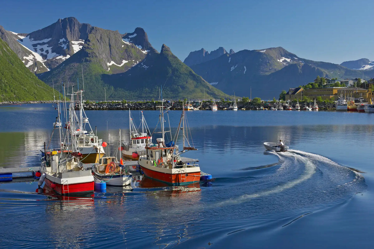 Norwegian Culinary Bucket List Adventure 4-16 Sept 2027